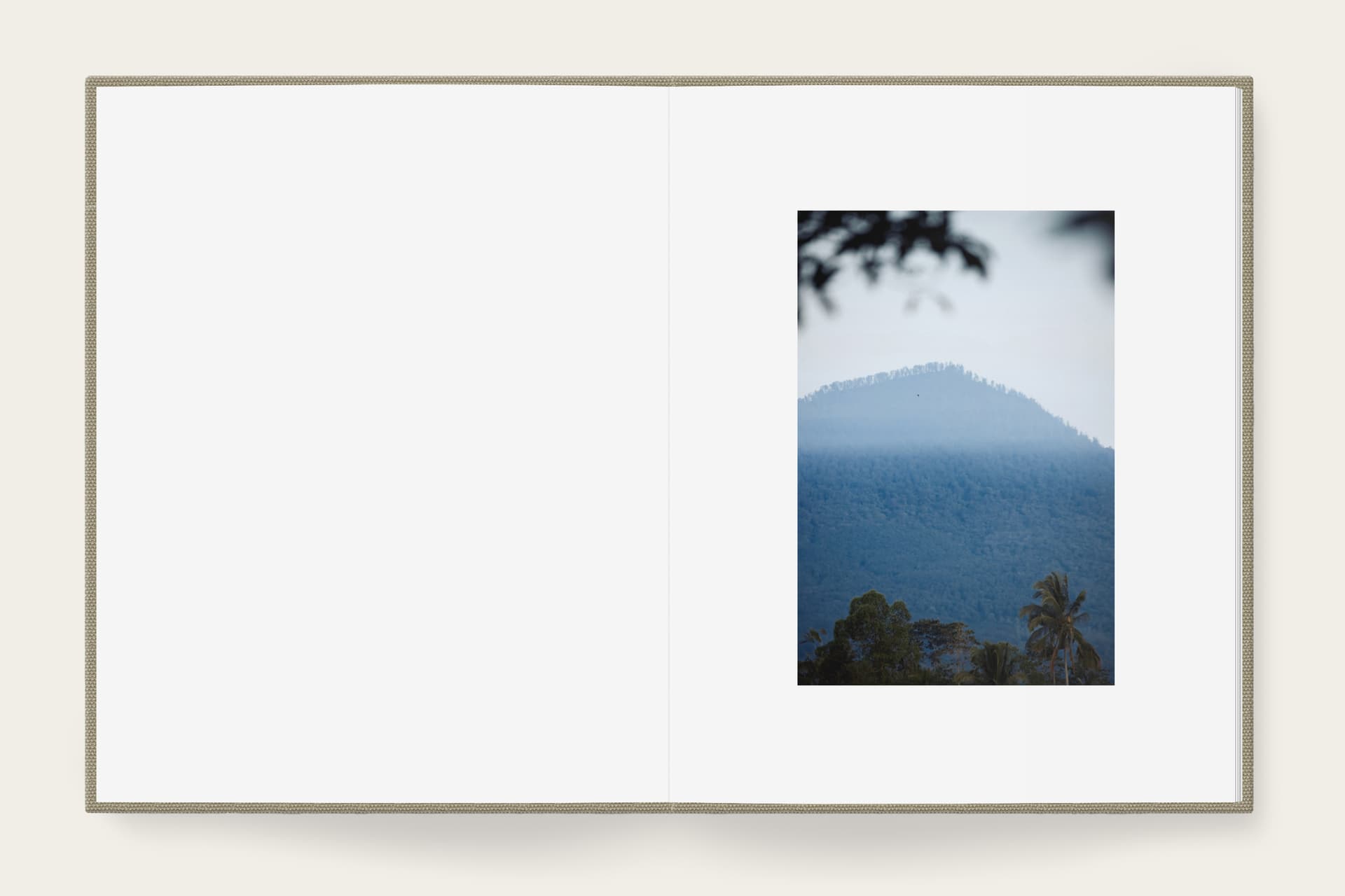 The Absence of Void 1